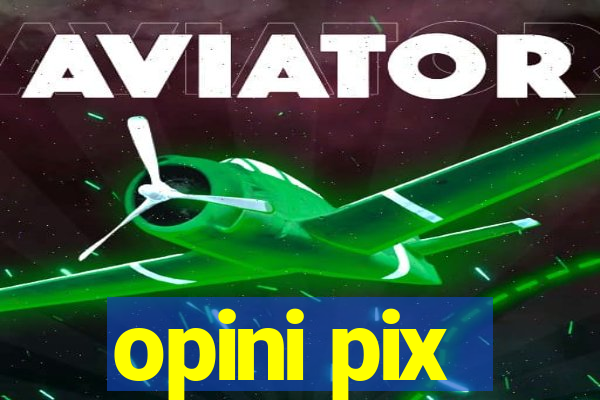 opini pix